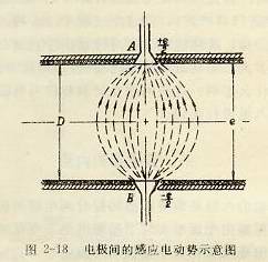 电极间的感应电动势示意图